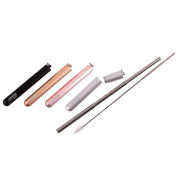 Appetito Stainless Steel Travel Straw set assorted colours
