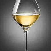 BOHEMIA Amoroso Wine Glass 280ml